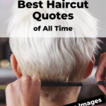 Haircut quotes