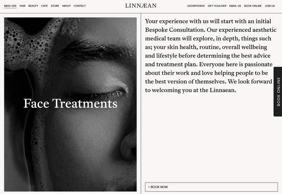 website design Linnaean Medi-spa