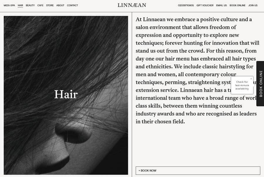 Linnaean Hair salon website design example