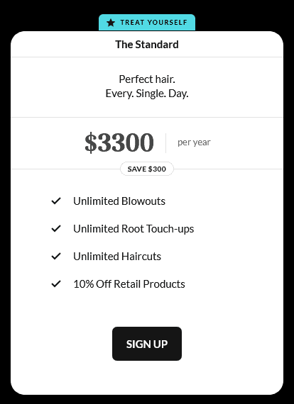 Example of a Salon membership program from Society Salons