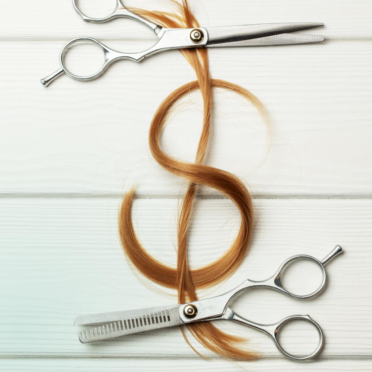 two scissors with hair forming a dollar sign