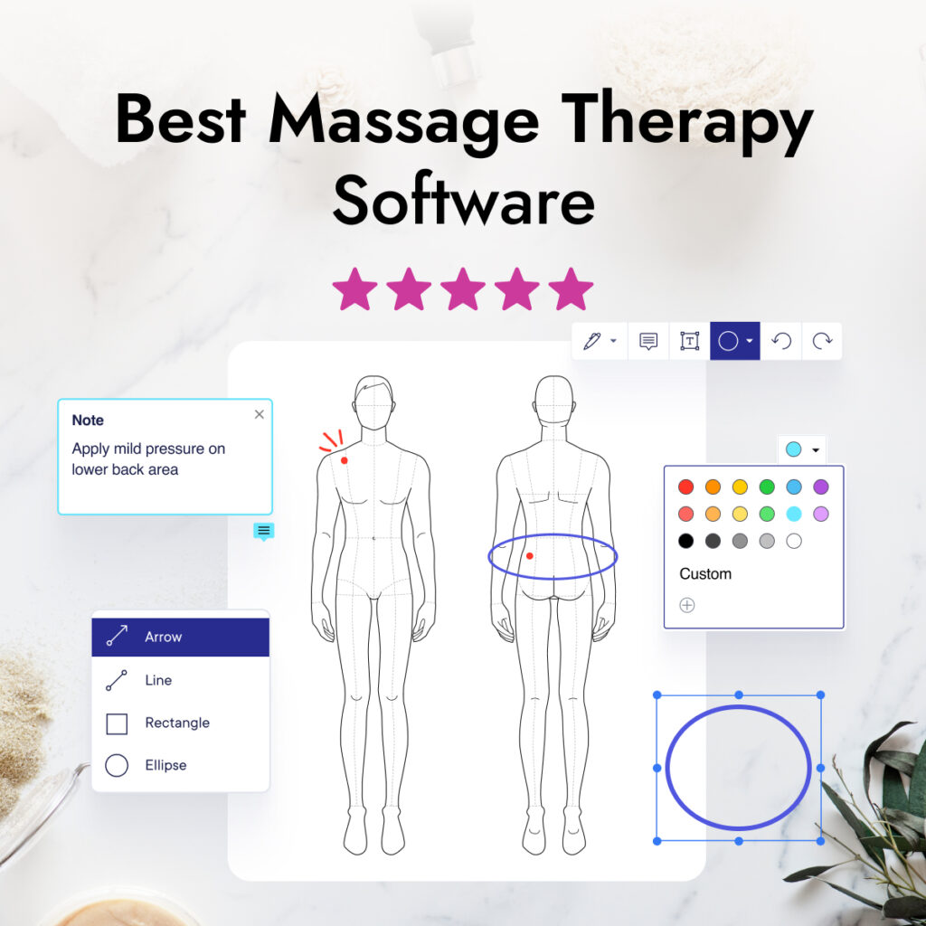 graphics showing elements of massage therapy software