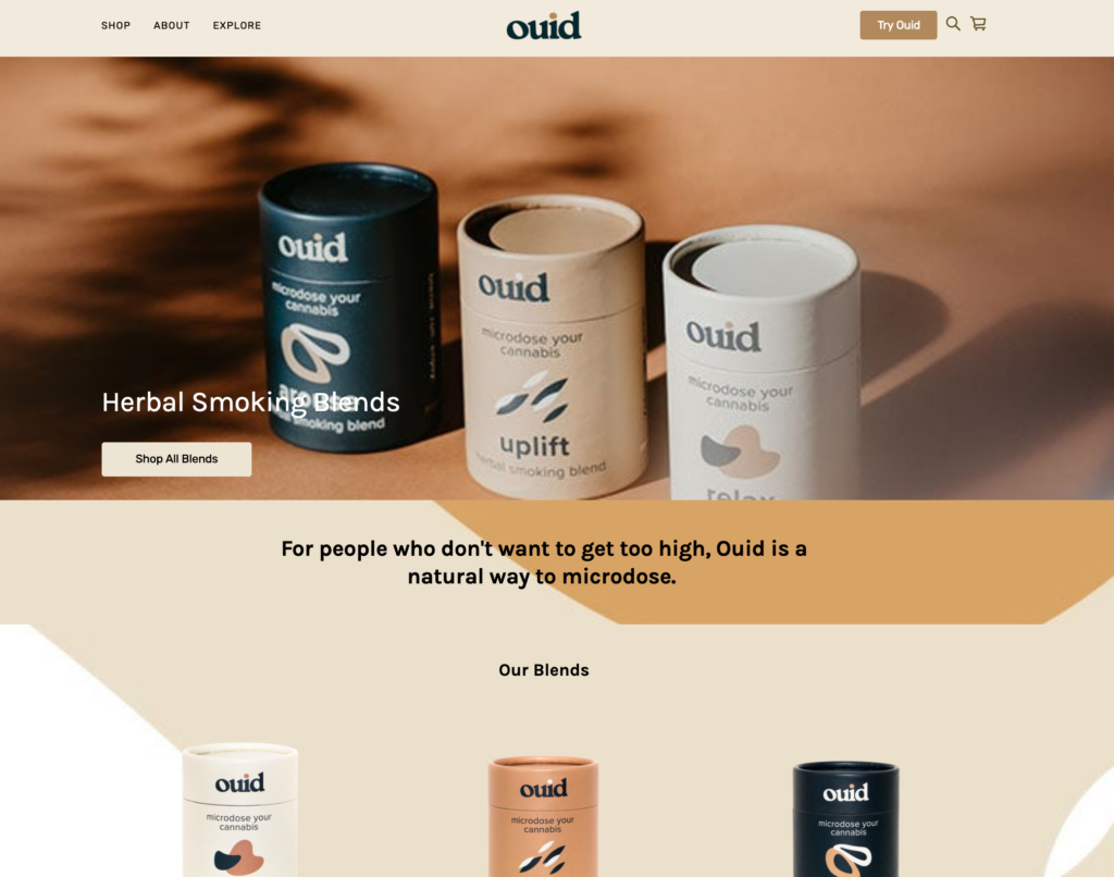 Brand website example using square online store