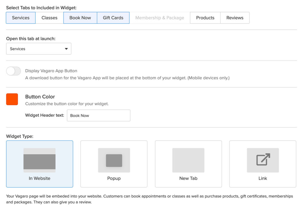 Vagaro website booking widget options